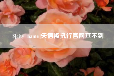 广西失信被执行官网查不到