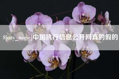 广西中国执行信息公开网真的假的