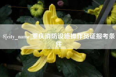 广西重庆消防设施操作员证报考条件