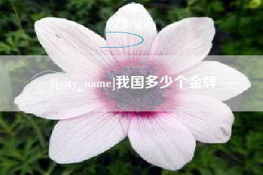 广西我国多少个金牌