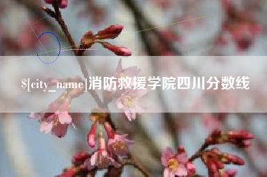 广西消防救援学院四川分数线