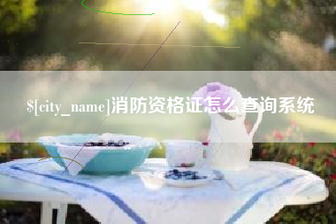 广西消防资格证怎么查询系统