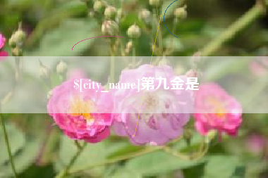 广西第九金是