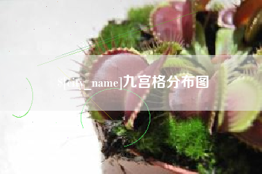 广西九宫格分布图