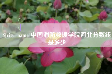 广西中国消防救援学院河北分数线是多少