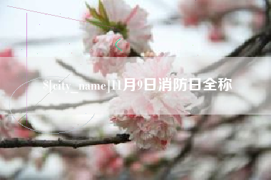 广西11月9日消防日全称