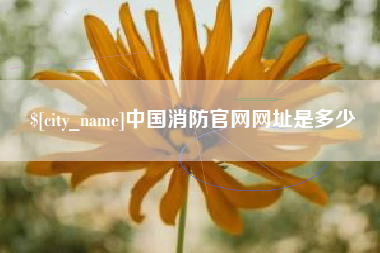 广西中国消防官网网址是多少