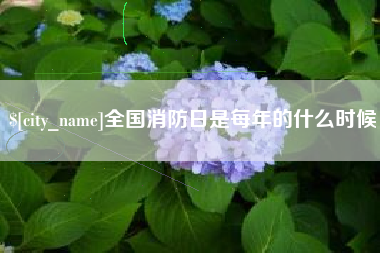 广西全国消防日是每年的什么时候