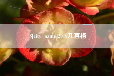 广西2019九宫格