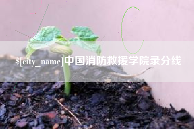 广西中国消防救援学院录分线