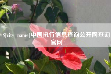 广西中国执行信息查询公开网查询官网