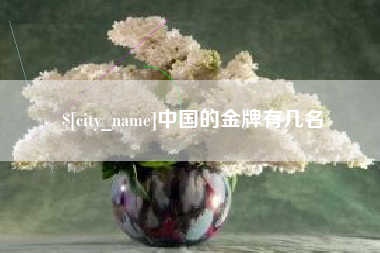 广西中国的金牌有几名