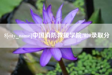 广西中国消防救援学院2020录取分