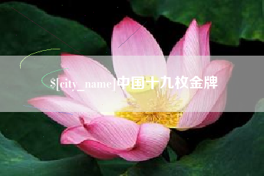 广西中国十九枚金牌