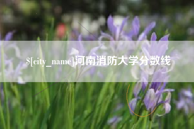 广西河南消防大学分数线