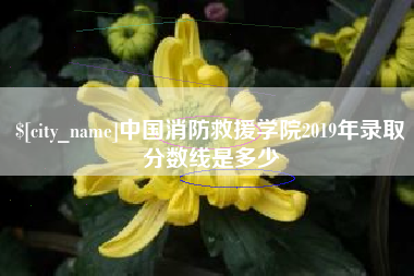 广西中国消防救援学院2019年录取分数线是多少