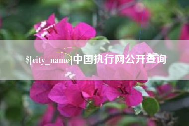 广西中国执行网公开查询