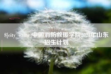 广西中国消防救援学院2021年山东招生计划