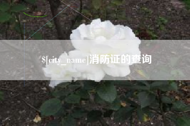 广西消防证的查询