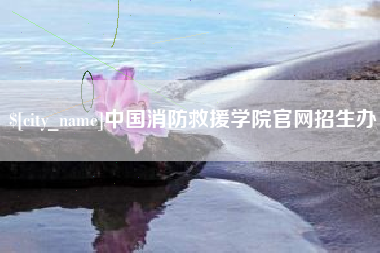 广西中国消防救援学院官网招生办