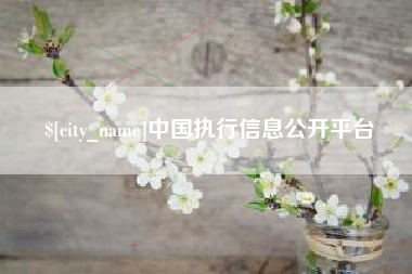 广西中国执行信息公开平台