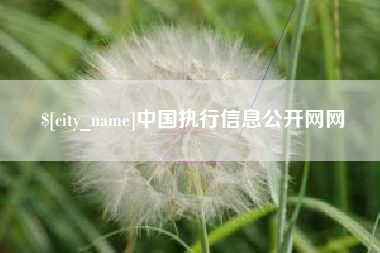 广西中国执行信息公开网网