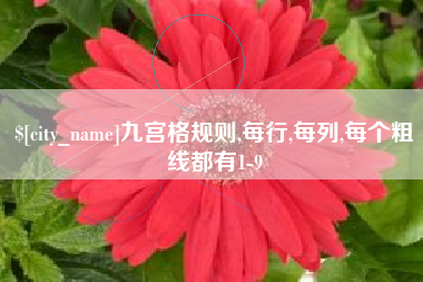 广西九宫格规则,每行,每列,每个粗线都有1-9