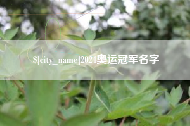 广西2024奥运冠军名字