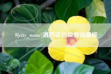 广西消防证初级查询系统