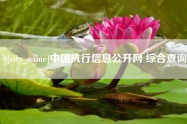 广西中国执行信息公开网 综合查询