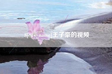 广西王子豪的视频