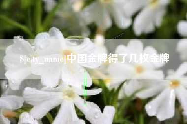 广西中国金牌得了几枚金牌