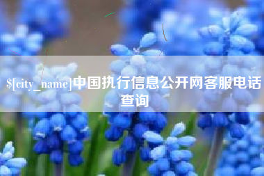 广西中国执行信息公开网客服电话查询