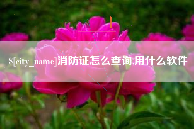 广西消防证怎么查询,用什么软件