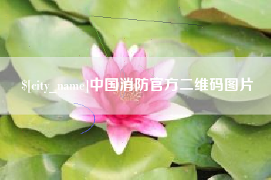 广西中国消防官方二维码图片
