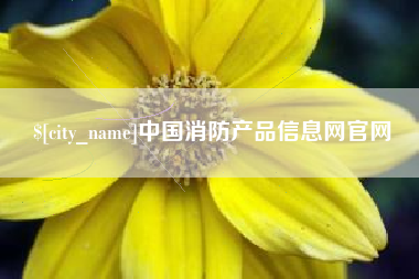 广西中国消防产品信息网官网