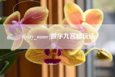 广西数字九宫格玩法