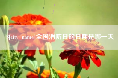 广西全国消防日的日期是哪一天