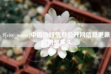 广西中国执行信息公开网信息更新时间是多久