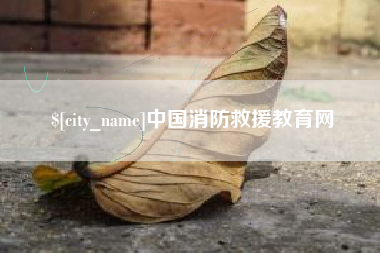 广西中国消防救援教育网
