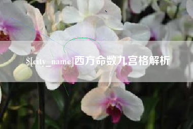 广西西方命数九宫格解析