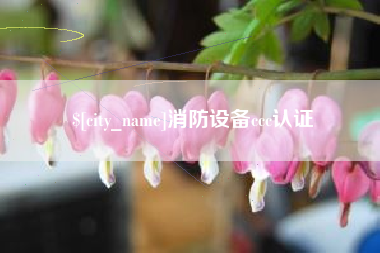 广西消防设备ccc认证