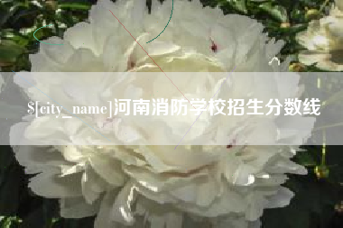 广西河南消防学校招生分数线
