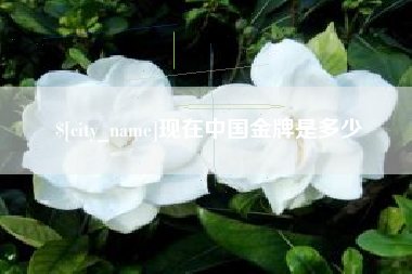 广西现在中国金牌是多少
