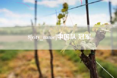 广西中国队 冠军