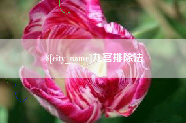 广西九宫排除法