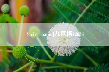 广西九宫格42633