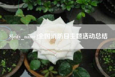 广西全国消防日主题活动总结