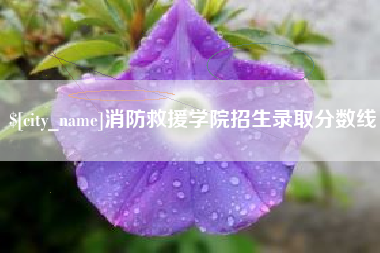 广西消防救援学院招生录取分数线