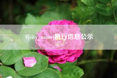 广西执行信息公示